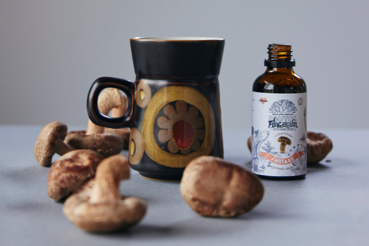 Medicinal Mushroom Supplements: Tincture or Capsule