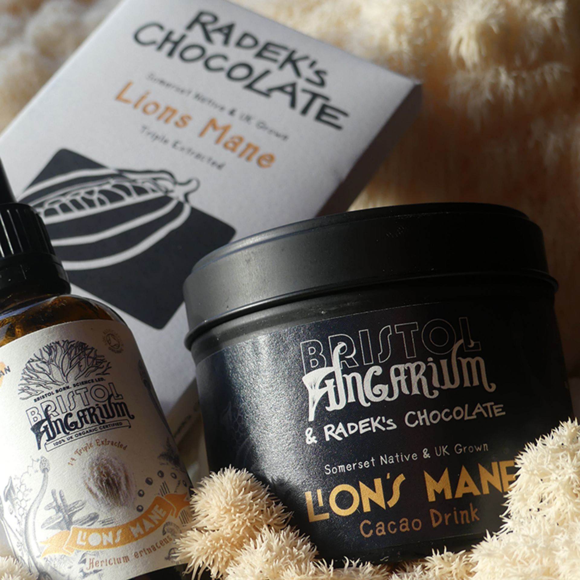 Lion's Mane Bundle
