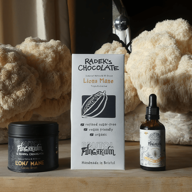 Lion's Mane Bundle