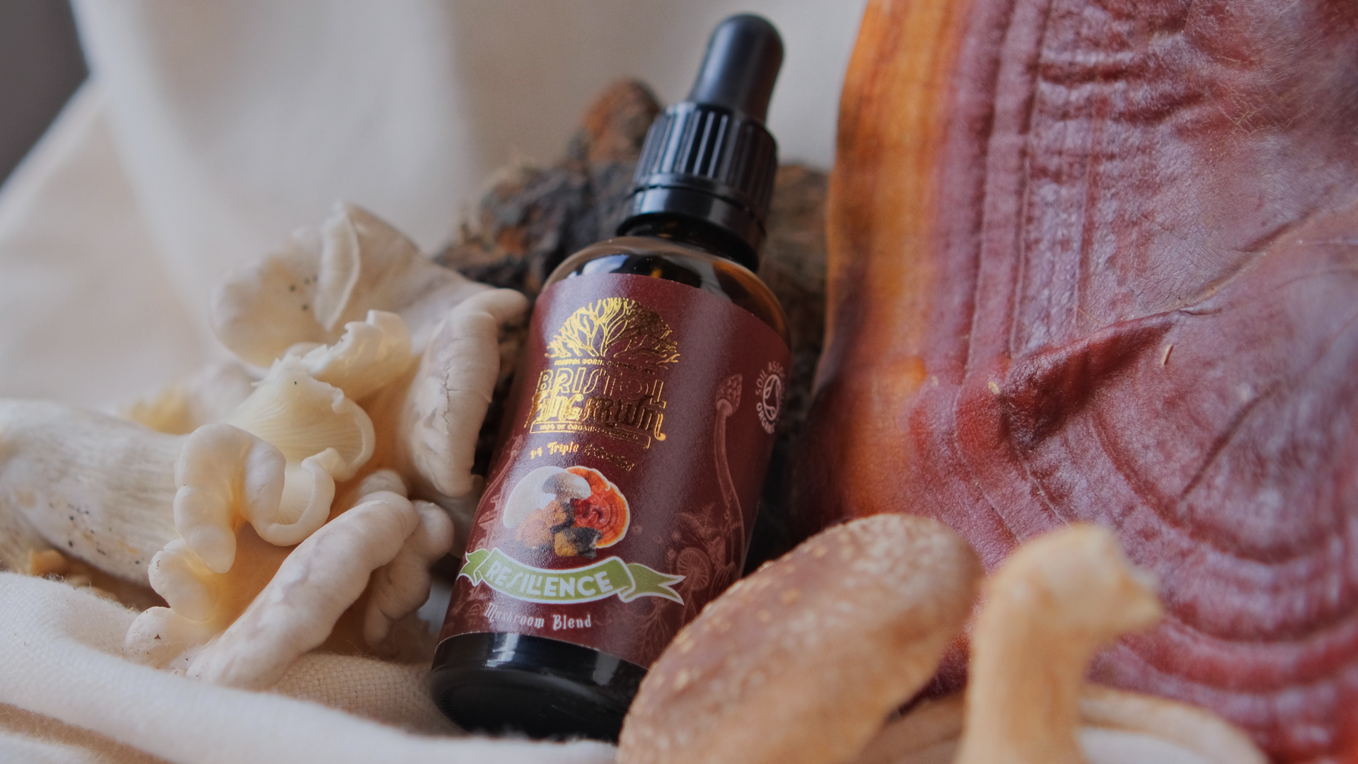 Boosting Natural Immunity This Winter