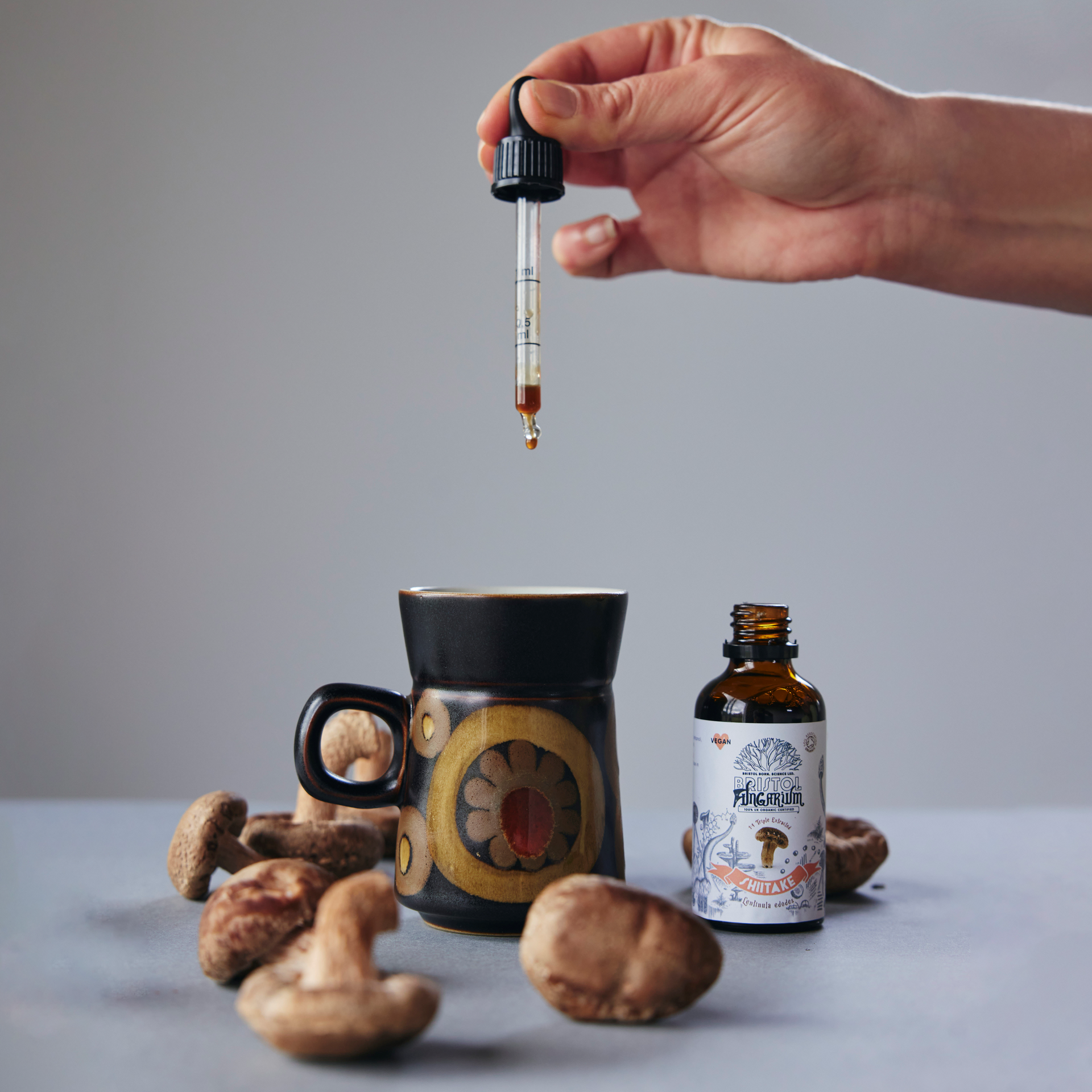 Medicinal Mushroom Supplements: Tincture or Capsule