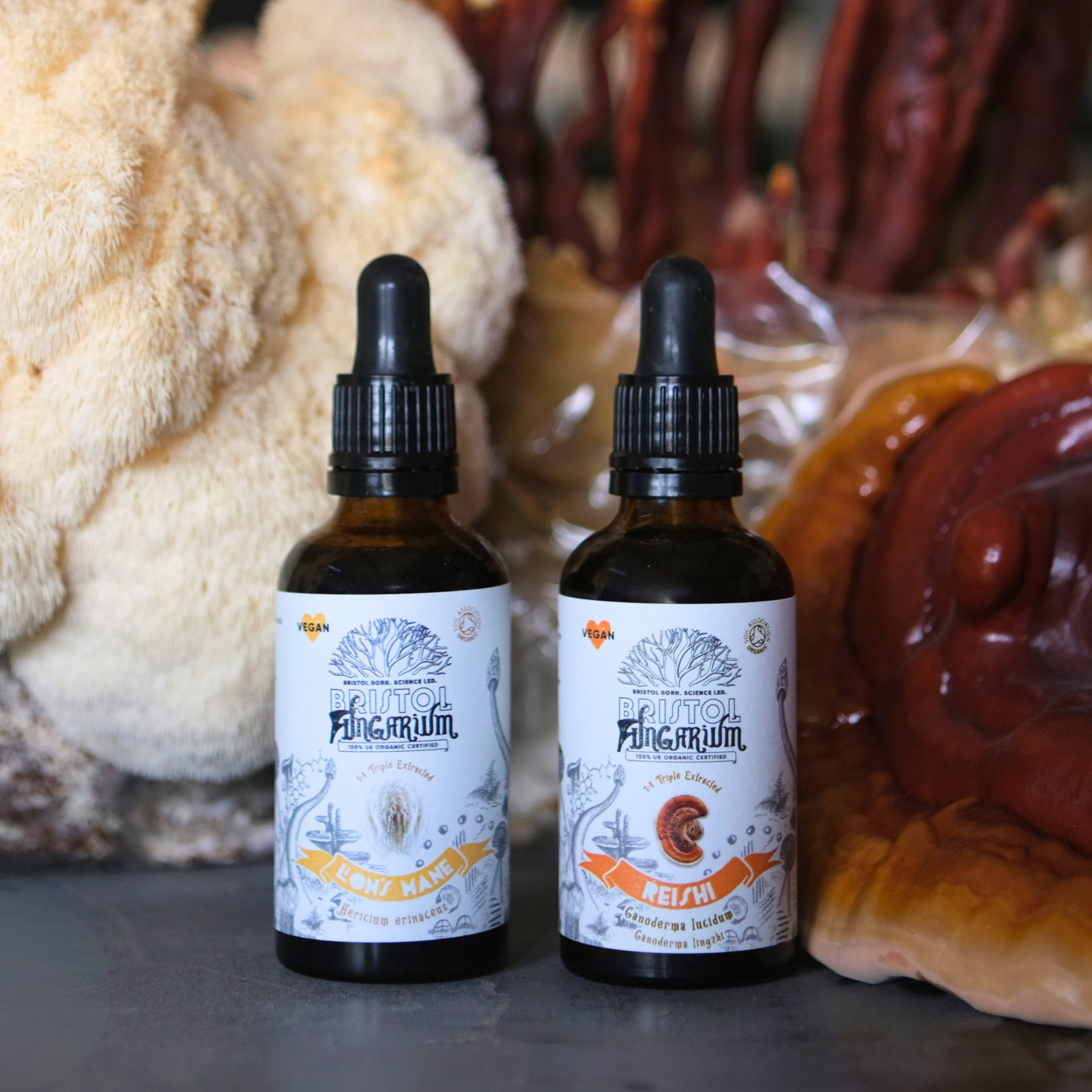 Calm & Clarity Bundle