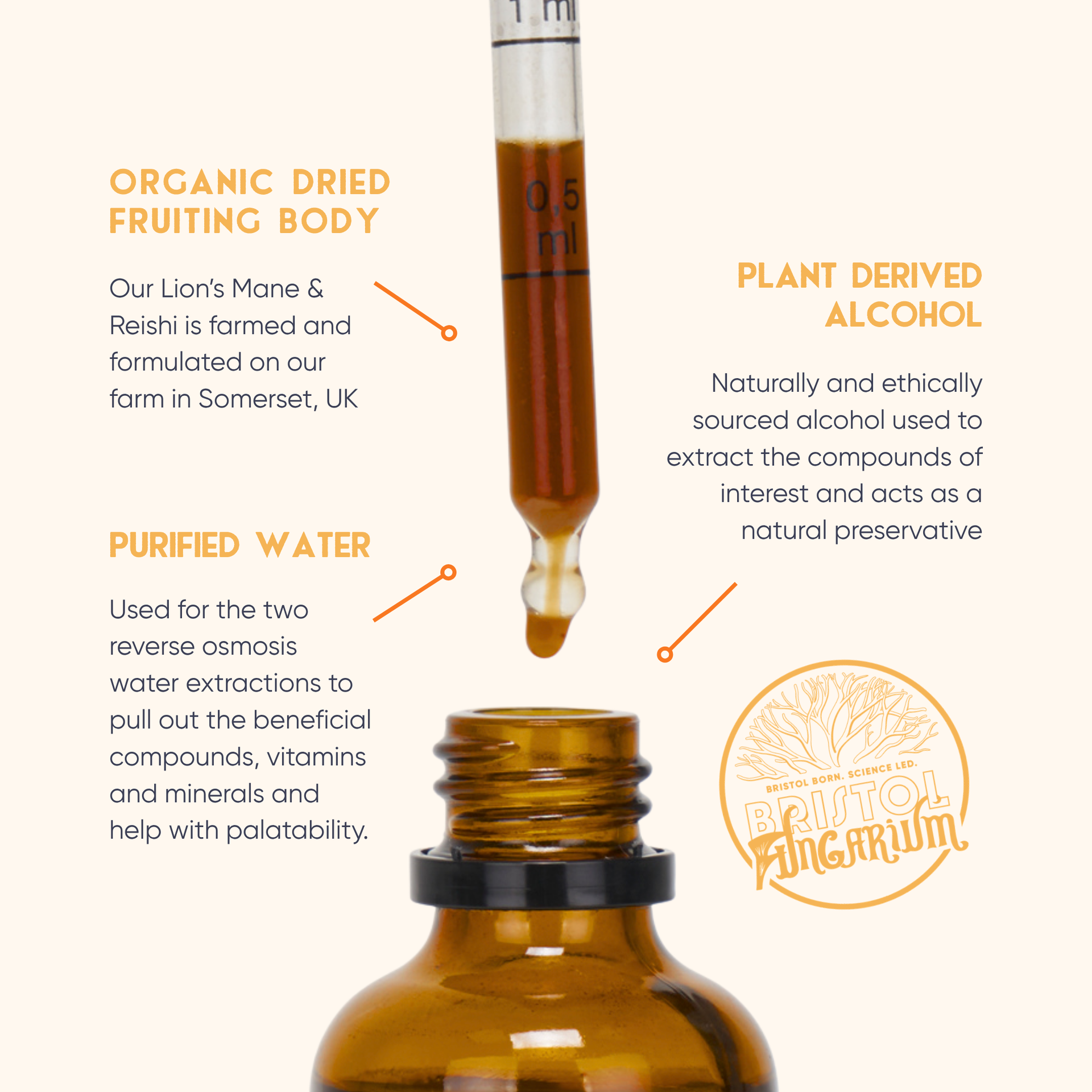 Calm & Clarity Bundle