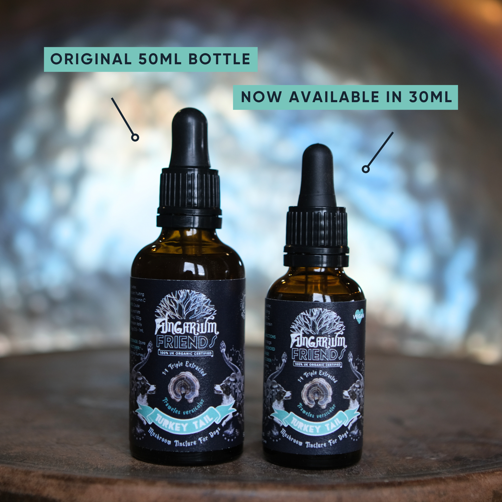 Organic Turkey Tail Tincture for Dogs | 30ml