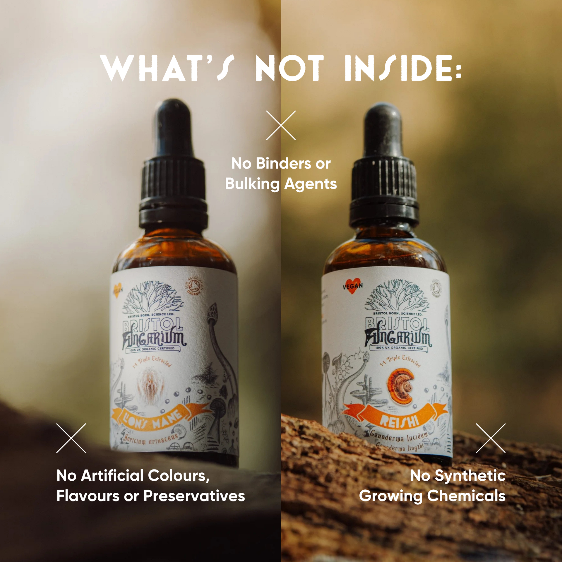 Calm & Clarity Bundle
