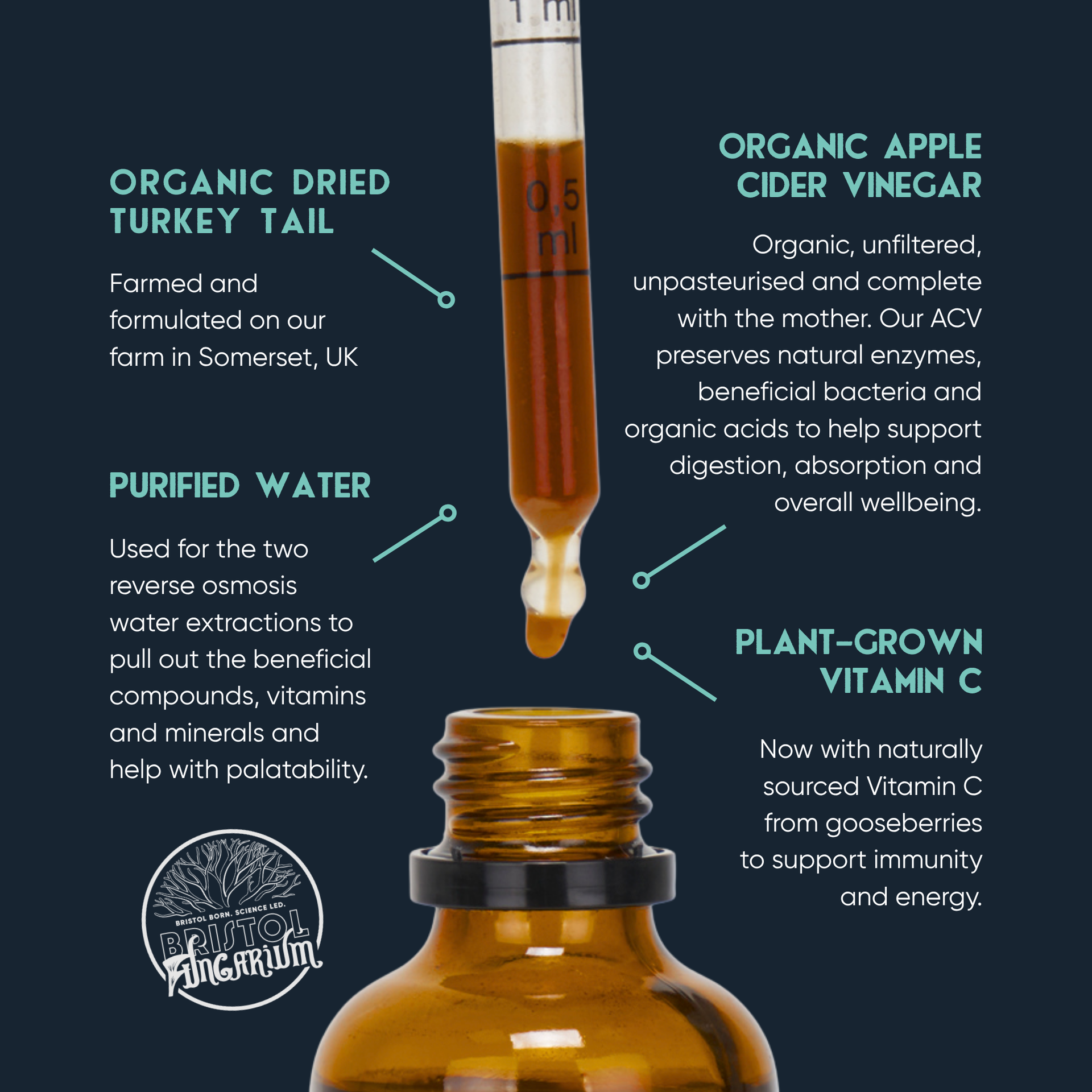 Organic Turkey Tail Tincture for Dogs | 50ml