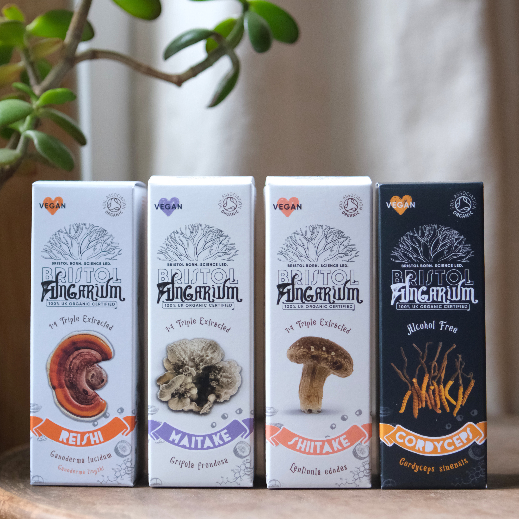 Women's Support Bundle 2.0