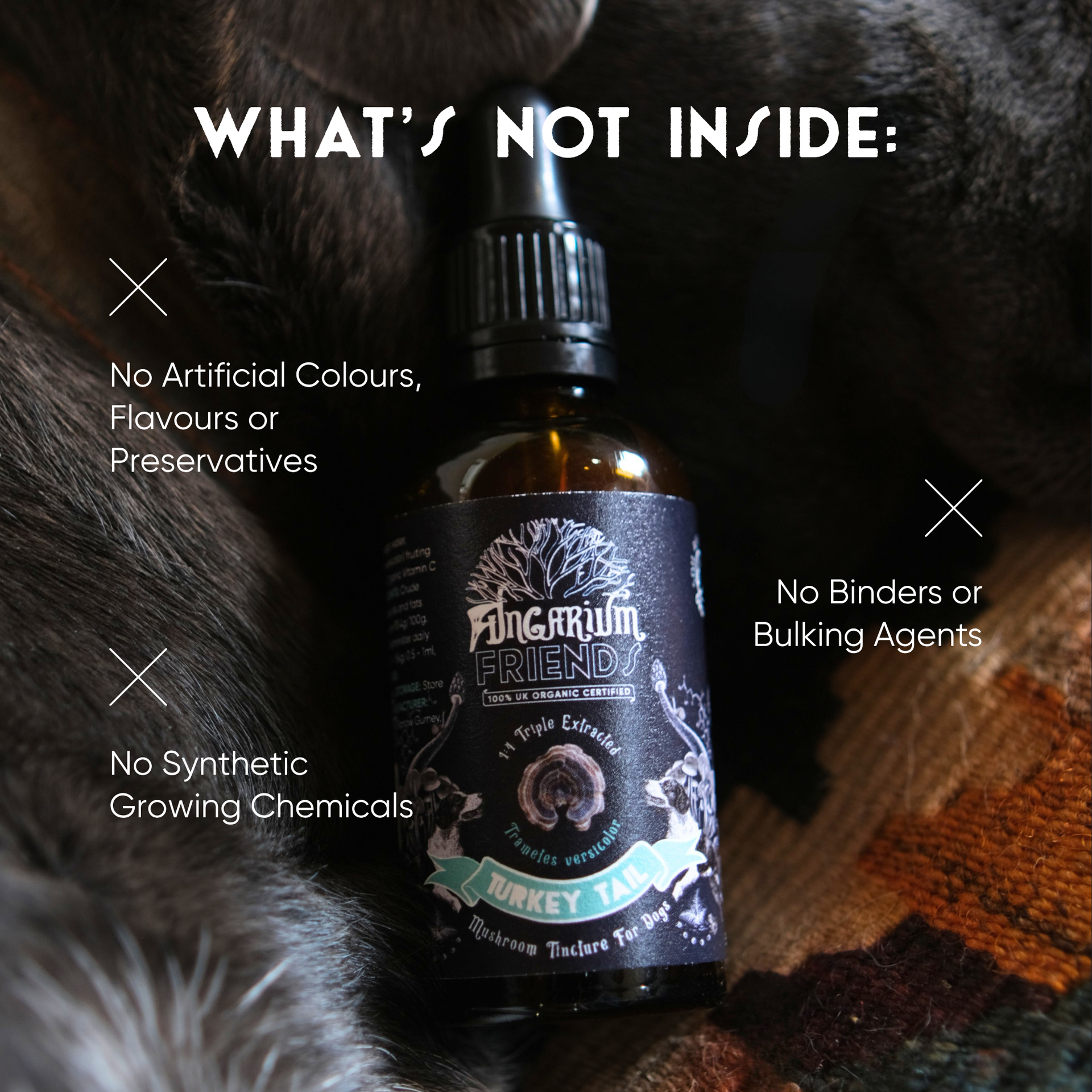 Organic Turkey Tail Tincture for Dogs | 50ml