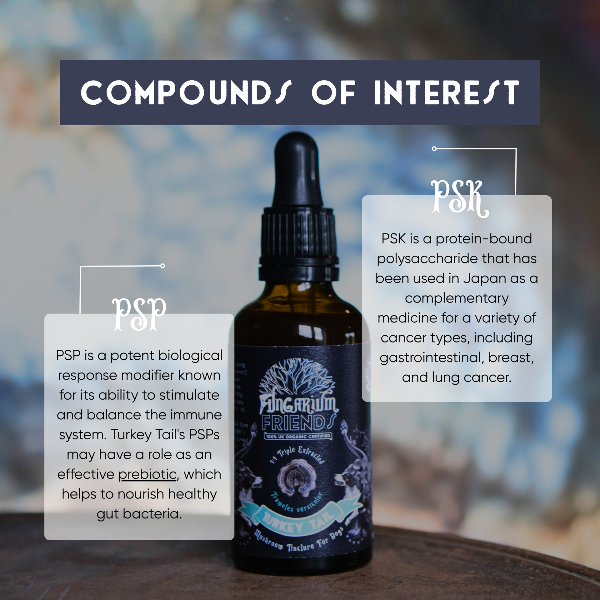 Organic Turkey Tail Tincture for Dogs | 50ml