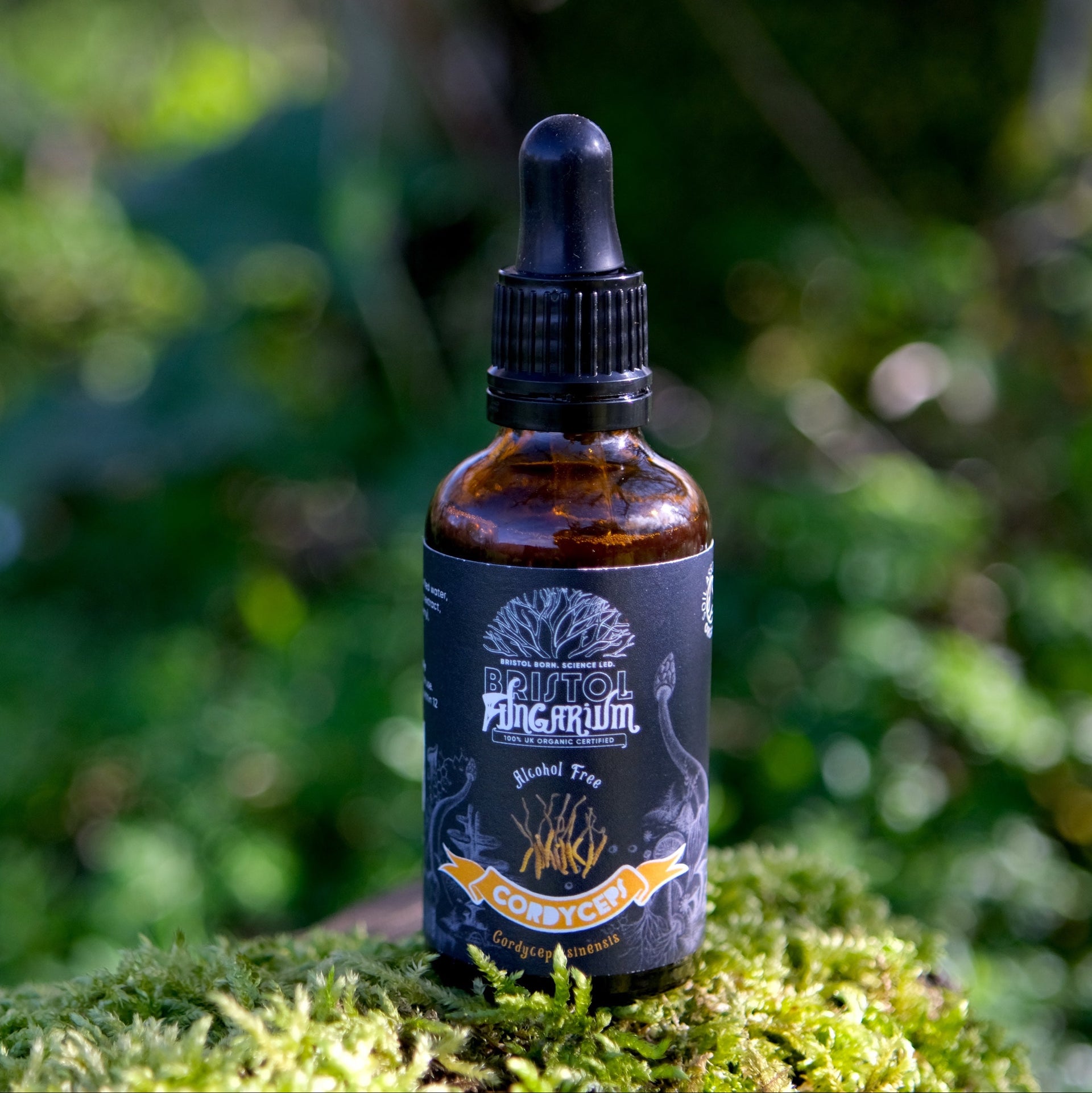[NEW] Organic Cordyceps Sinensis Tincture