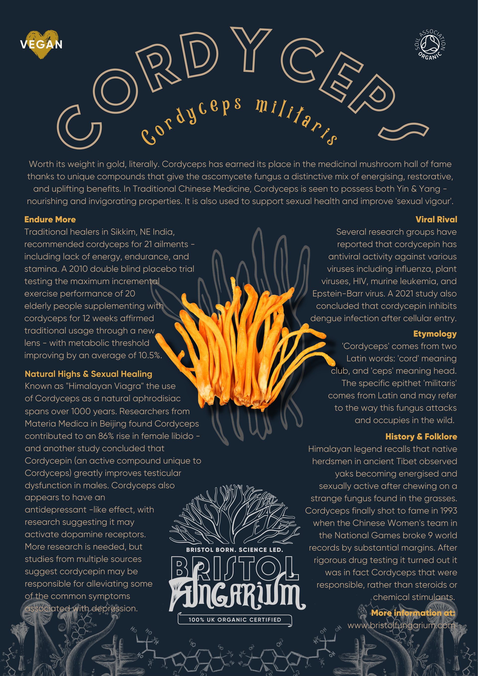Organic Cordyceps Tincture