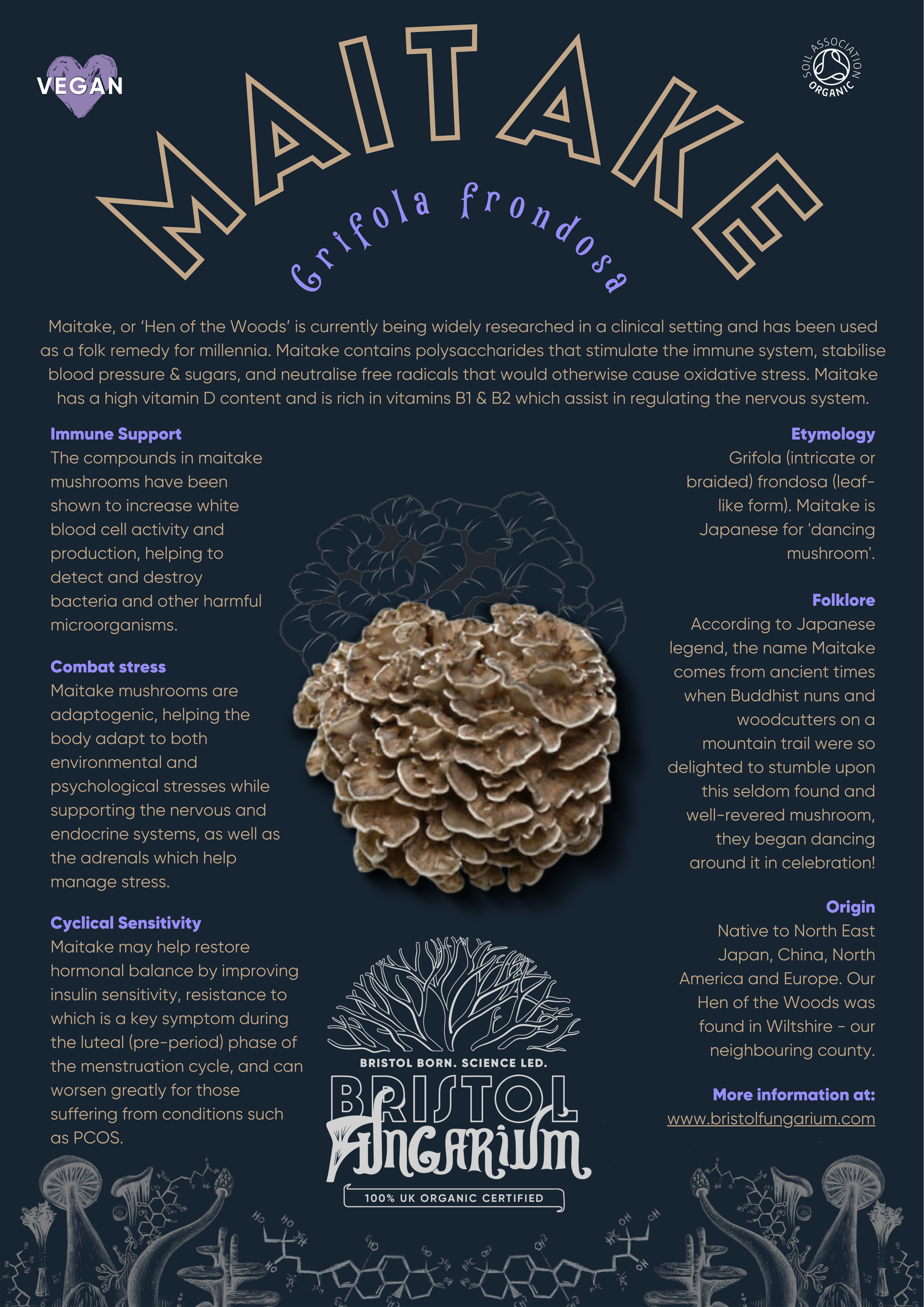 Organic Maitake Tincture
