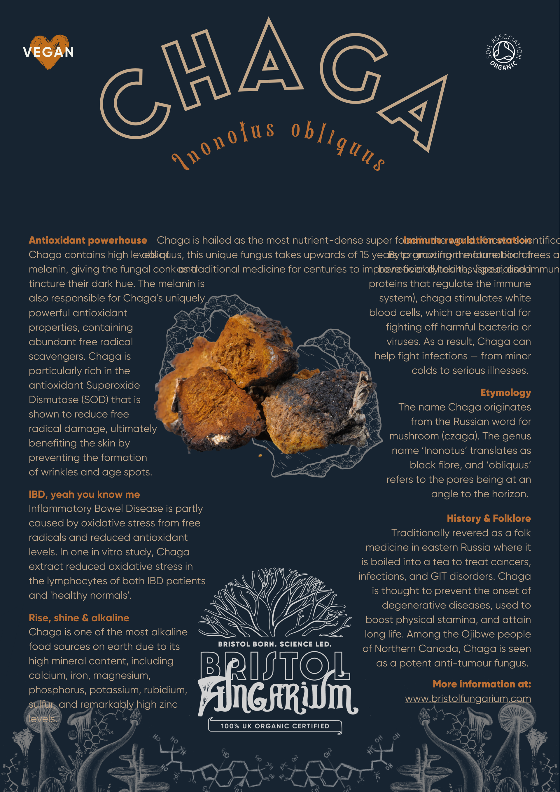 Organic Chaga Tincture