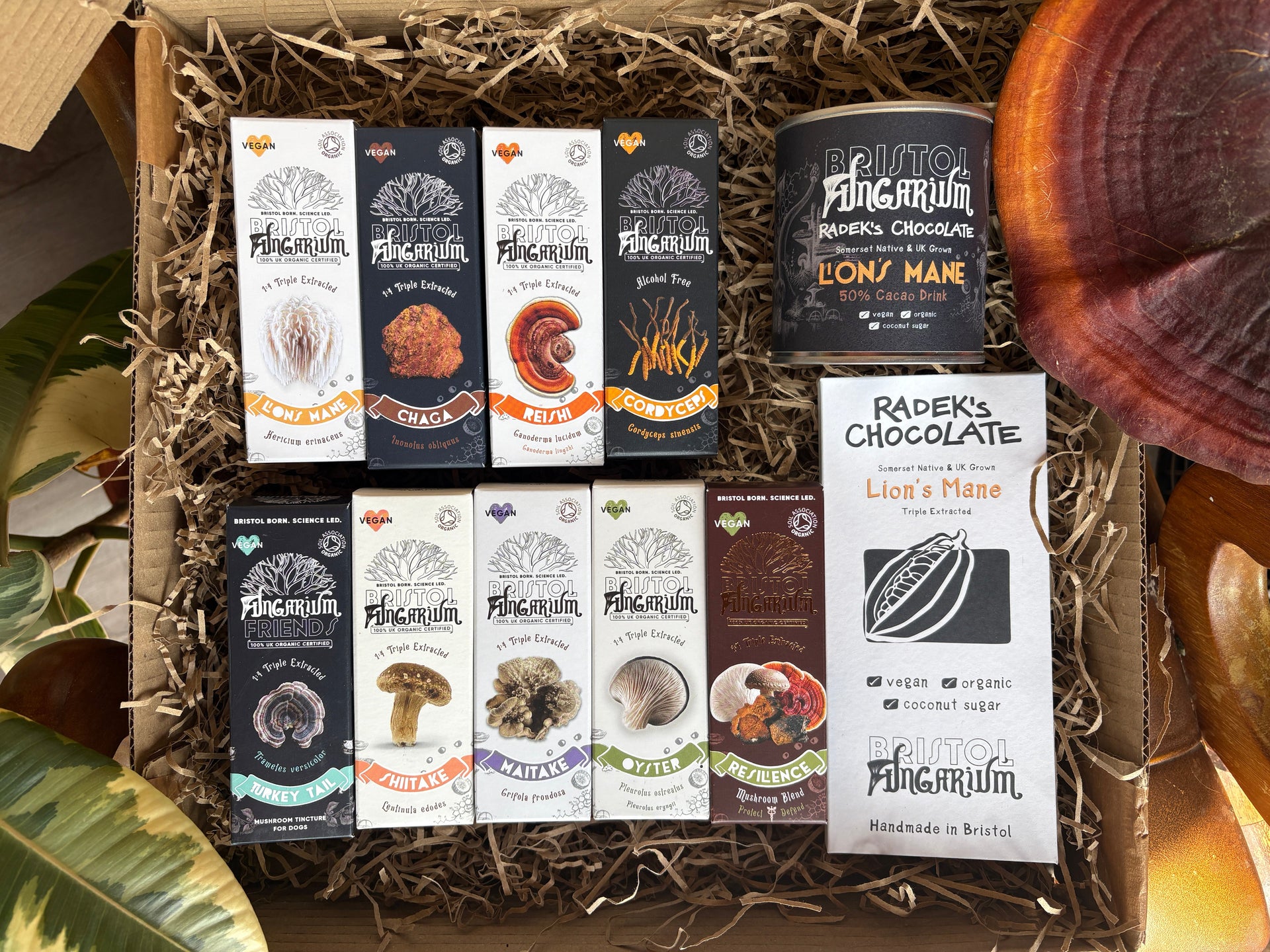 The Everything Bundle