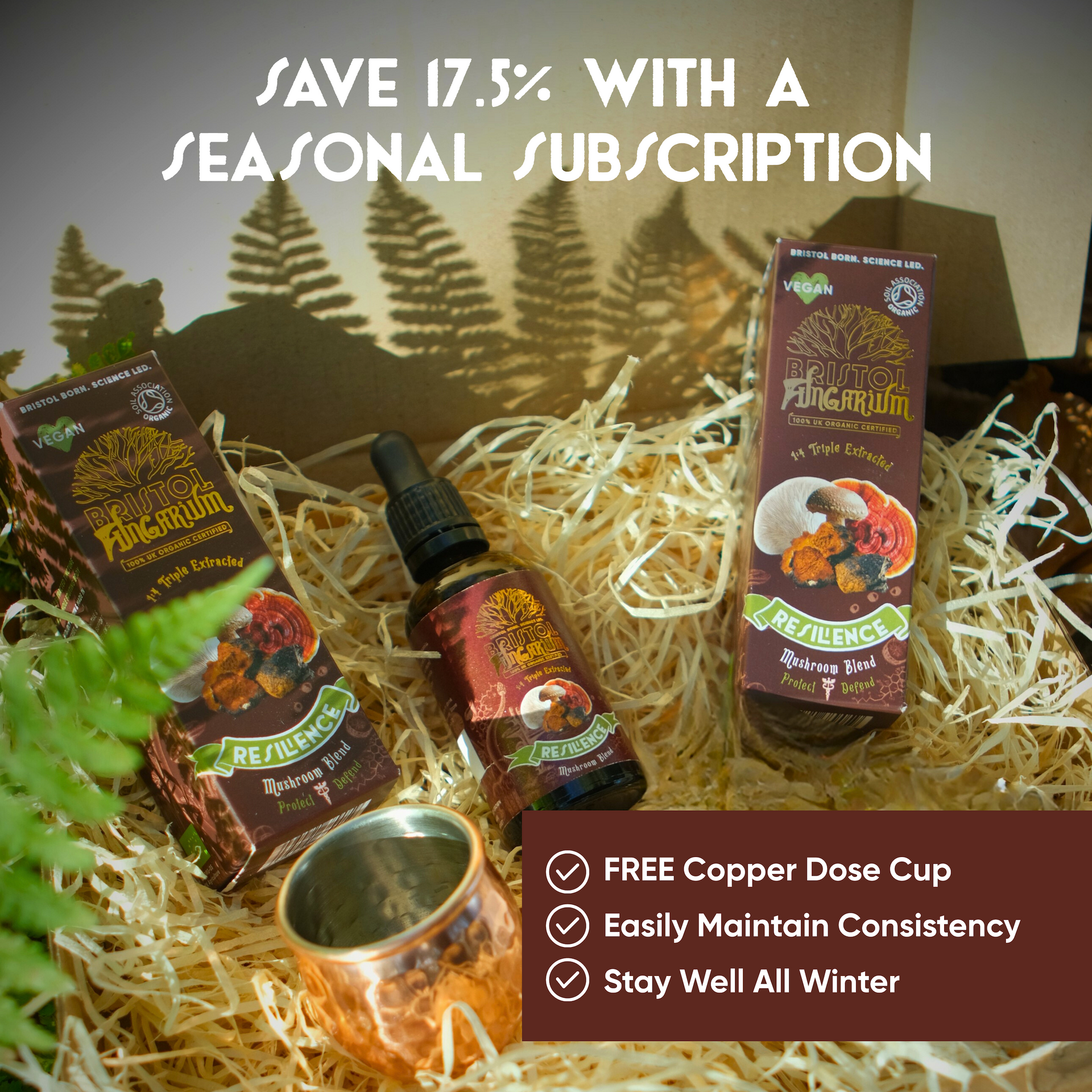 Resilience Blend | Organic Multi-Mushroom Tincture for Seasonal Wellness