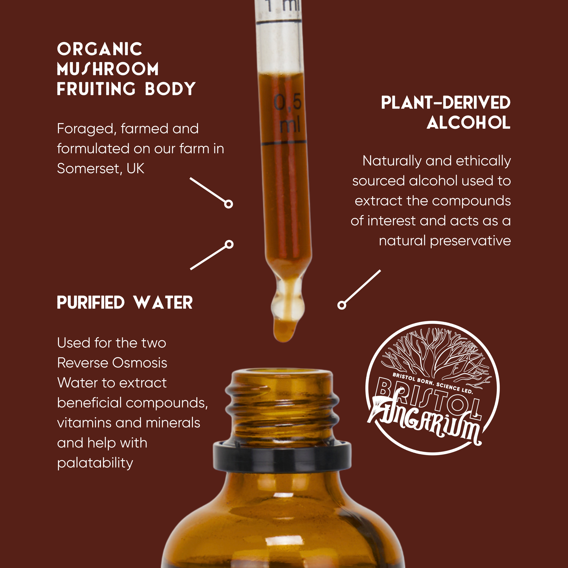 Resilience Blend | Organic Multi-Mushroom Tincture for Seasonal Wellness