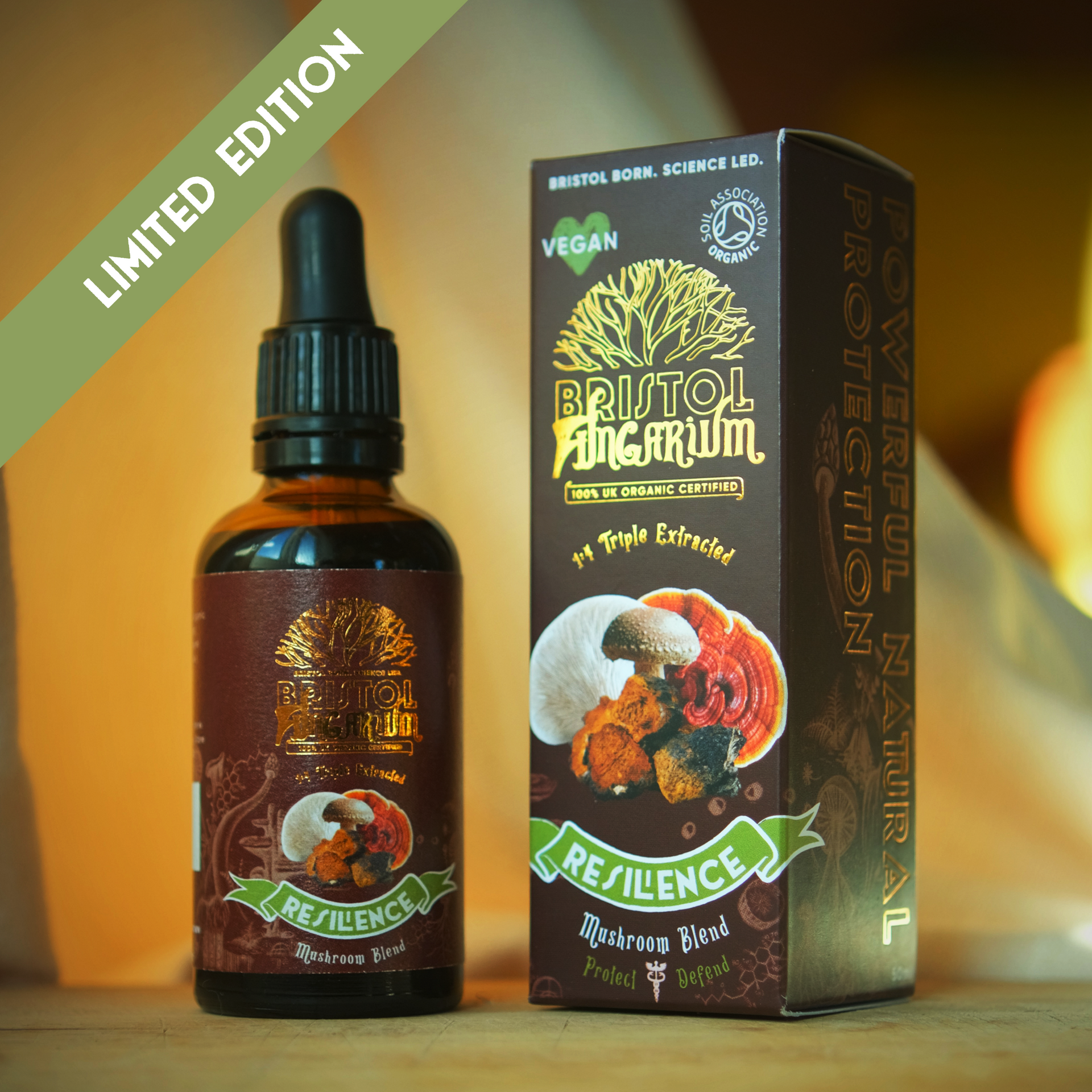 Resilience Blend | Organic Multi-Mushroom Tincture for Seasonal Wellness