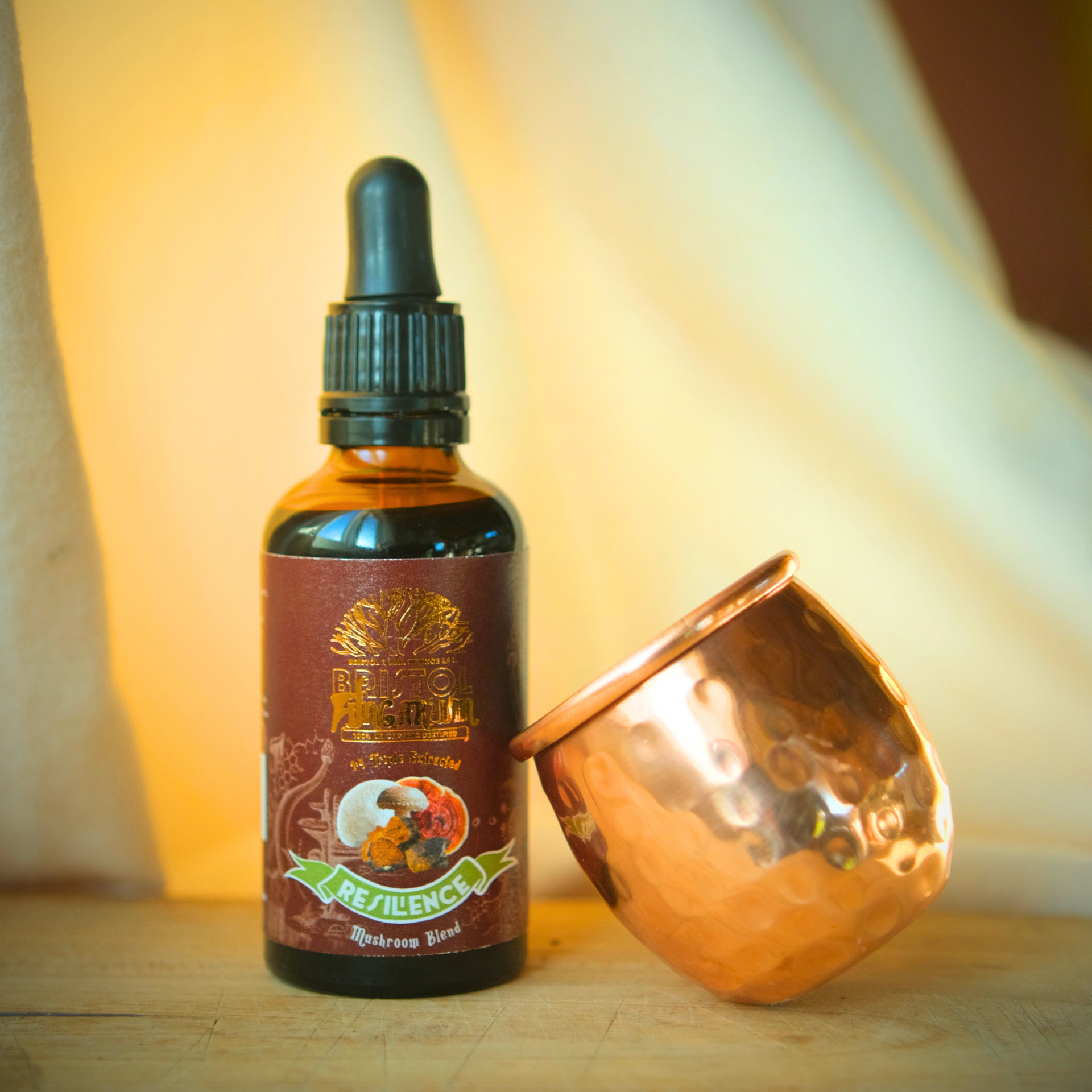 Resilience Blend | Organic Multi-Mushroom Tincture for Seasonal Wellness