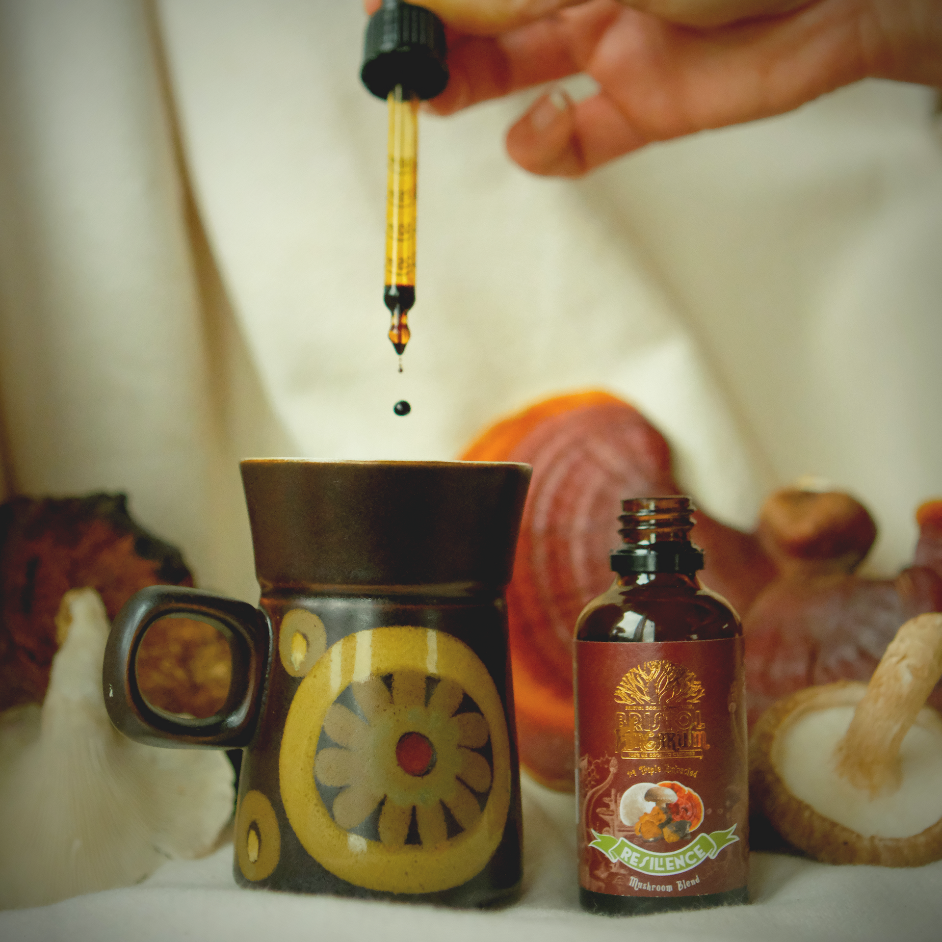 Resilience Blend | Organic Multi-Mushroom Tincture for Seasonal Wellness