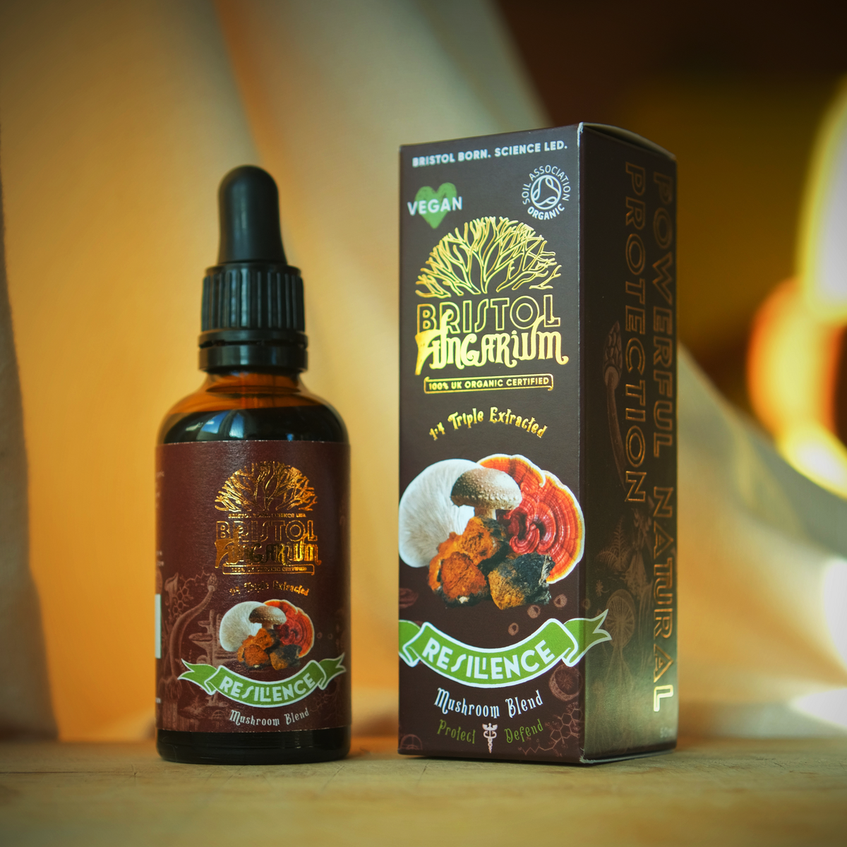 Resilience Blend | Organic Multi-Mushroom Tincture for Seasonal Wellness