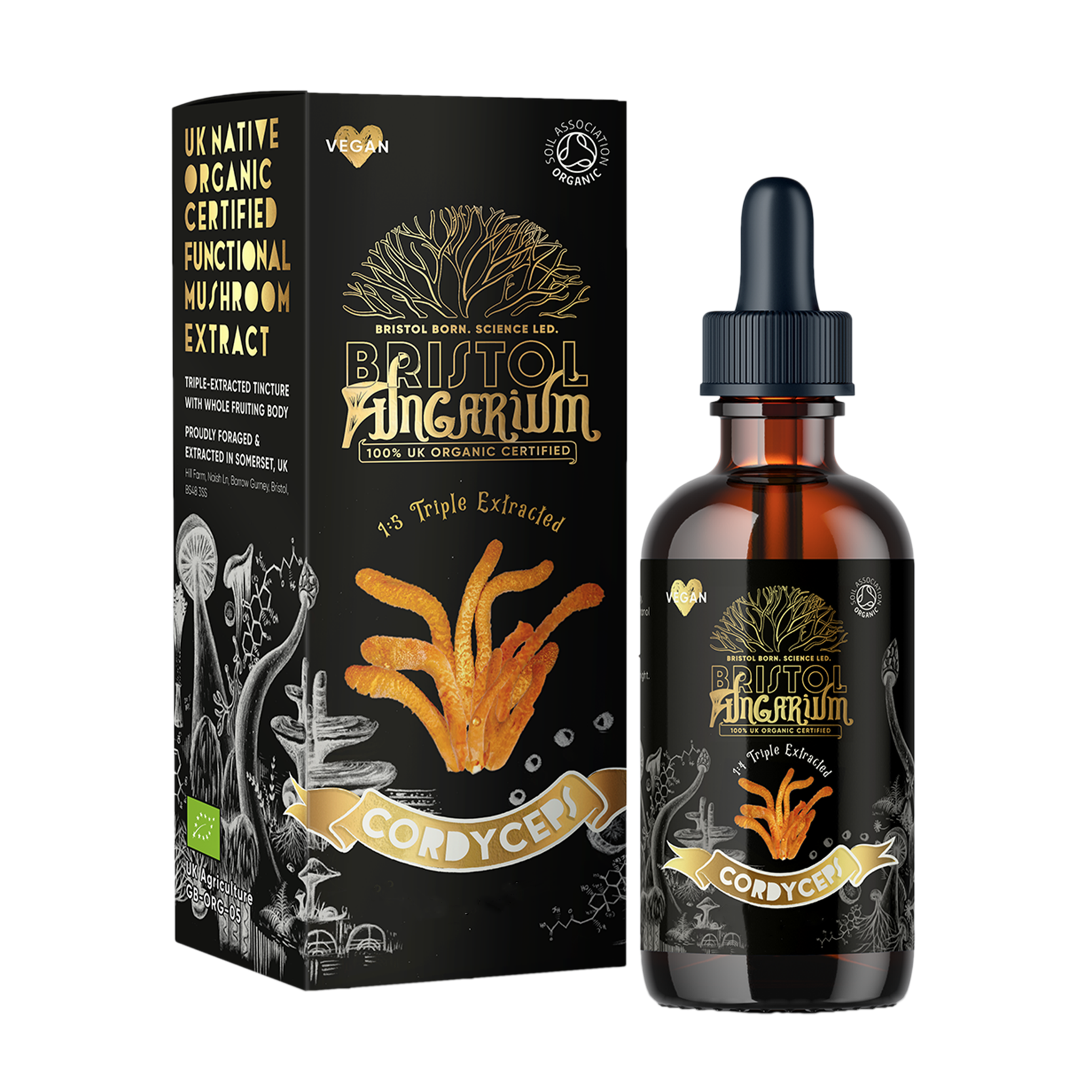 Organic Cordyceps Tincture