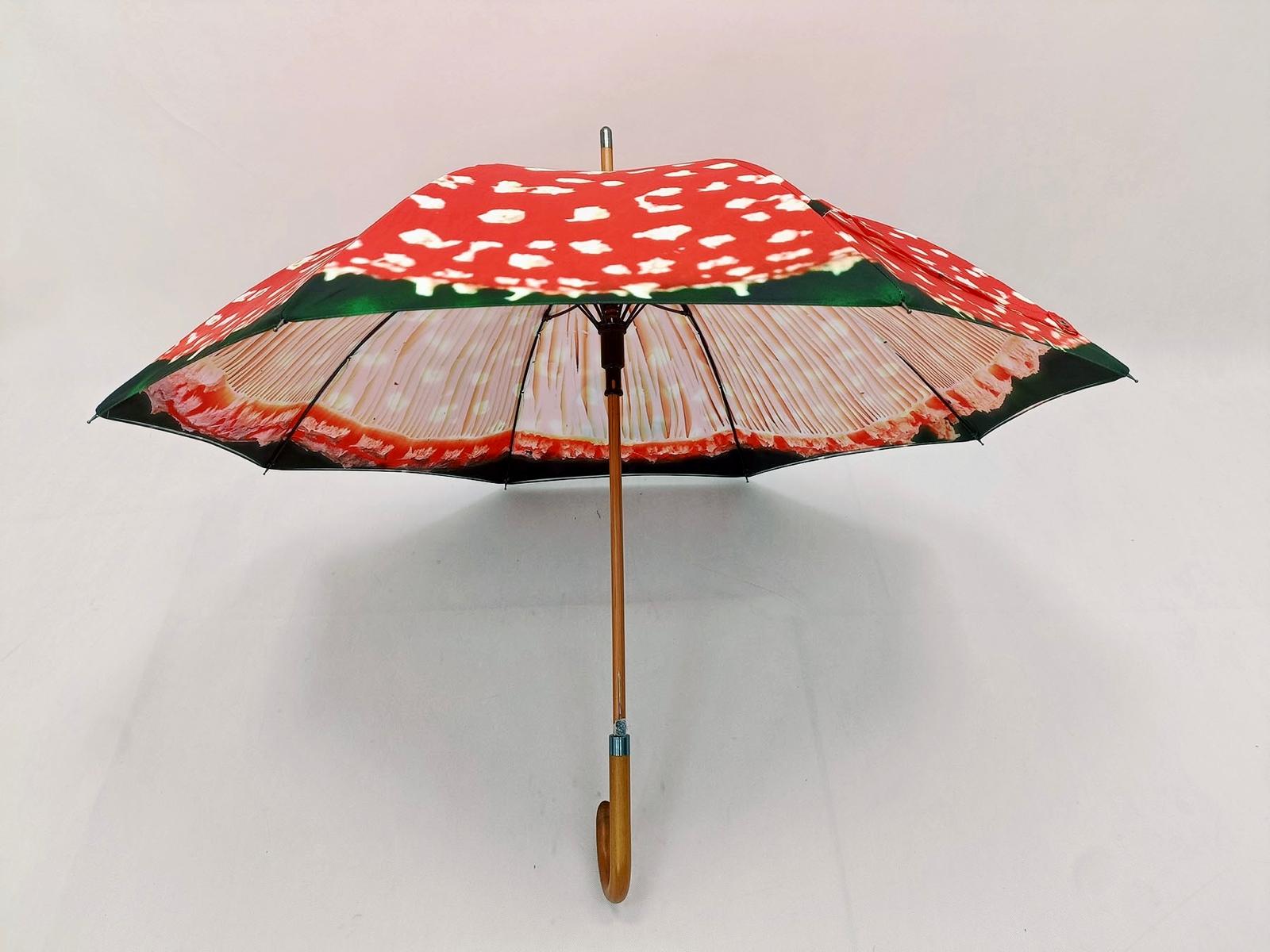 Fungarium Umbrellas