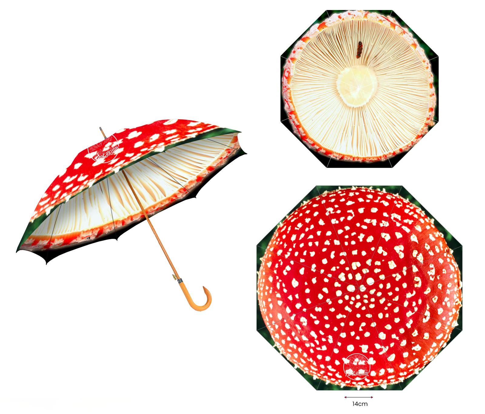 Fungarium Umbrellas