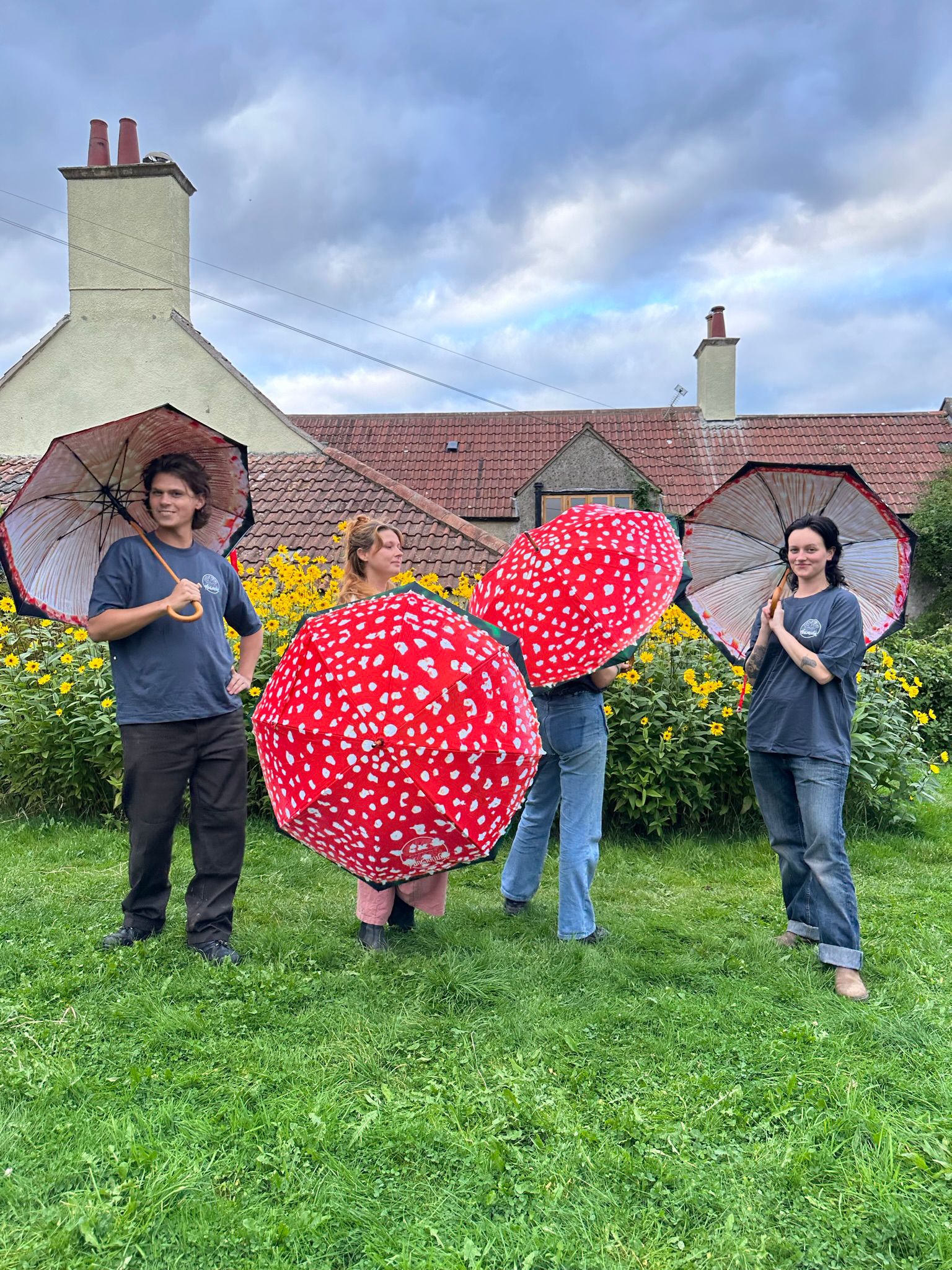 Fungarium Umbrellas