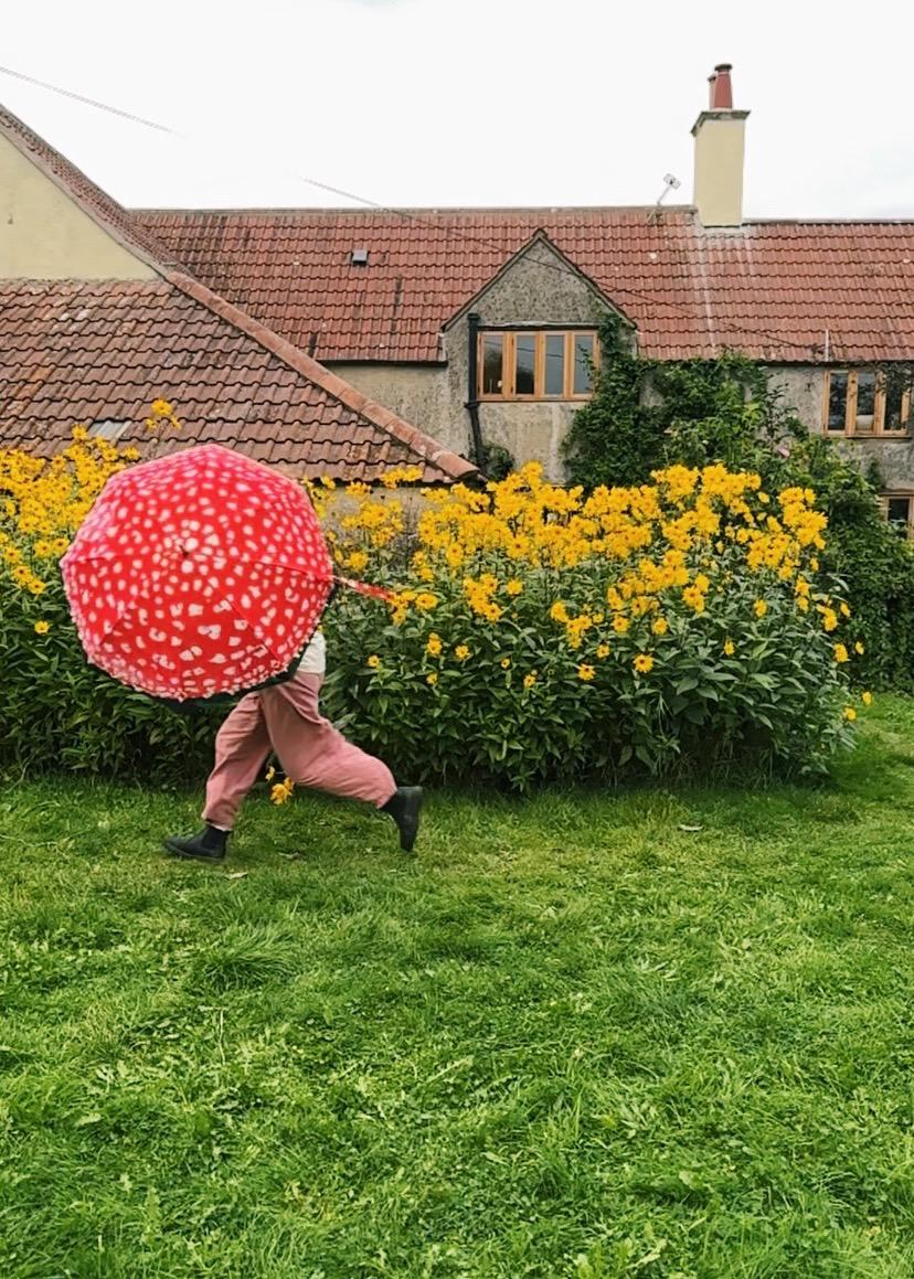 Fungarium Umbrellas