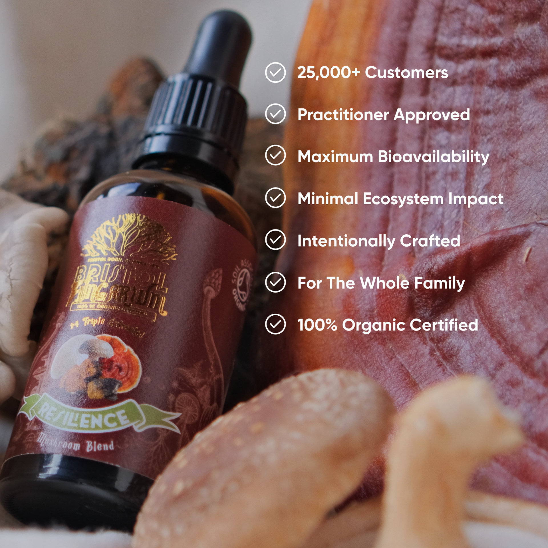 Resilience Blend | Organic Multi-Mushroom Tincture for Seasonal Wellness